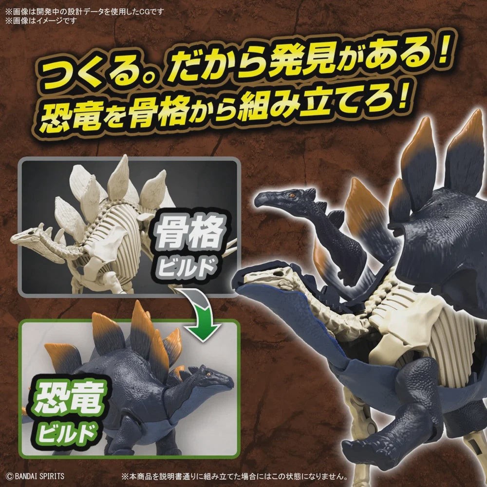 Kit Modèle Réductible Dinosaure Stegosaurus En Plastique BANDAI - Japon