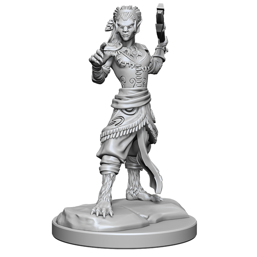 D&D Nolzurs Marvelous Miniatures Shifter Fighter