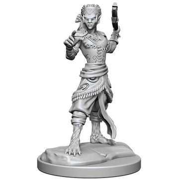 D&D Nolzurs Marvelous Miniatures Shifter Fighter