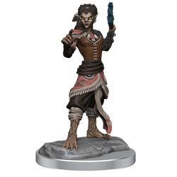 D&D Nolzurs Marvelous Miniatures Shifter Fighter