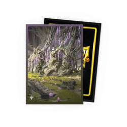 Dragon Shield: Sleeves – Matte Dual Art – MTG Landfall Series: Verdant Catacombs