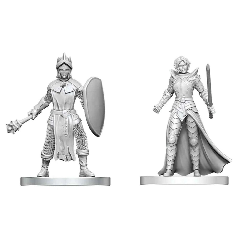 D&D Nolzur's Marvelous Miniatures: Black Gauntlet & Zhentilar Paladin of Bane