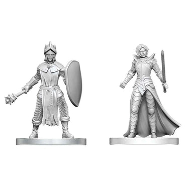D&D Nolzur's Marvelous Miniatures: Black Gauntlet & Zhentilar Paladin of Bane
