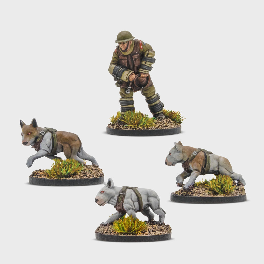 Konflikt '47 - The British Commonwealth - Cerberus Squad 1