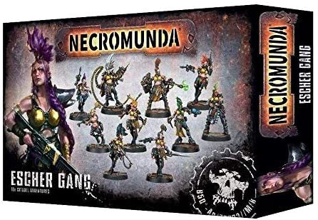 300-11 Necromunda Escher Gang