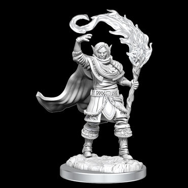D&D Nolzurs Marvelous Unpainted Miniatures Elf Cleric Male
