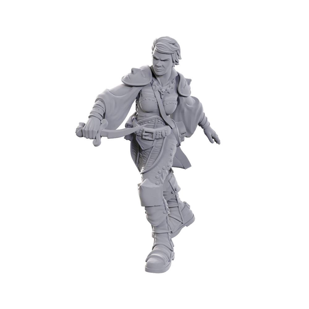 Dungeons & Dragons - Nolzur's Marvelous Miniatures: Swashbuckler