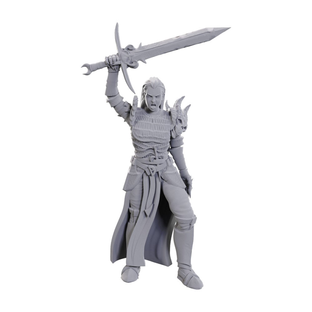 Dungeons & Dragons - Nolzur's Marvelous Miniatures: Blackguard