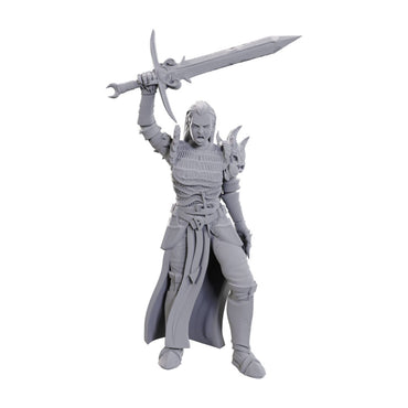 Dungeons & Dragons - Nolzur's Marvelous Miniatures: Blackguard