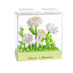 Koco - Preserved Fresh Flower Jasmine - 285pc