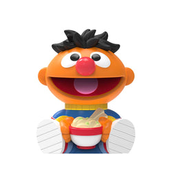 Rokimoto Sesame Street Mystery Collectible