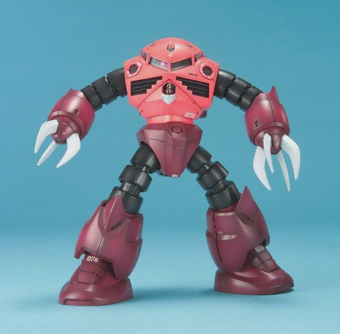 MG 1/100 MSM07 ZGOK CHARS CUSTOM