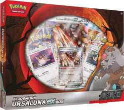 POKÉMON TCG Bloodmoon Ursaluna ex Box