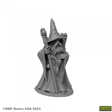 Reaper: Dungeon Dwellers: Anuminar Winterbeard, Wizard