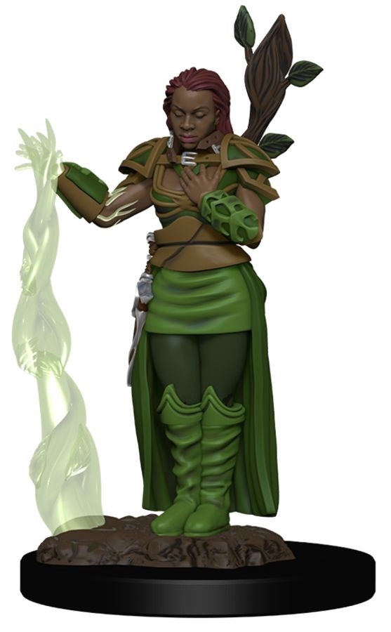 Dungeons & Dragons - Premium Human Female Druid Miniature
