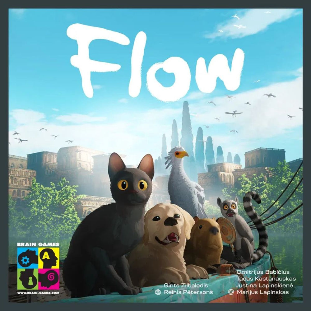 Flow Boardgame