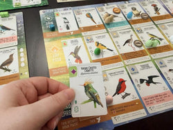 Wingspan - Americas Expansion