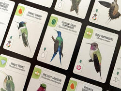 Wingspan - Americas Expansion