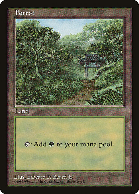 Forest [Asia Pacific Land Program]