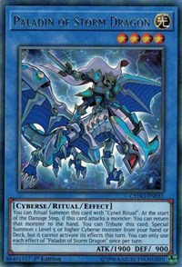 Paladin of Storm Dragon [Cybernetic Horizon] [CYHO-EN031]