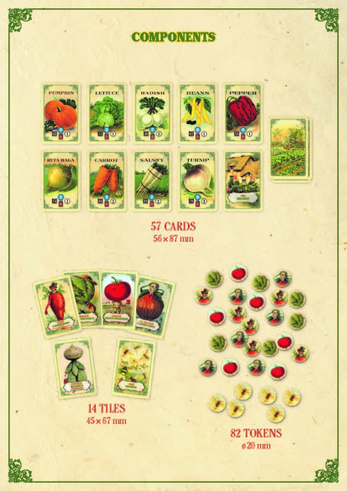 Mr. Cabbagehead's Garden