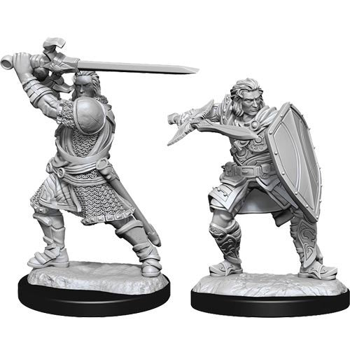 Dungeons & Dragons - Nolzur's Marvelous Unpainted Miniatures: Human Paladin Male