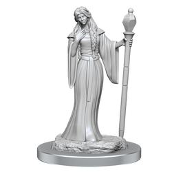 Critical Role - Unpainted Miniatures Human Wizard Female & Halfling Holy Warrior Female