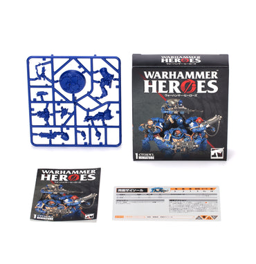 Warhammer Heroes Display (8 boxes)