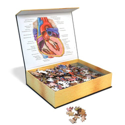 Dr. Livingston's Anatomy Jigsaw Puzzle: The Human Heart