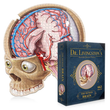 Dr. Livingston's Anatomy Jigsaw Puzzle: The Human Brain
