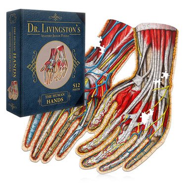 Dr. Livingston's Anatomy Jigsaw Puzzle: The Human Hands