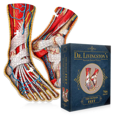 Dr. Livingston's Anatomy Jigsaw Puzzle: The Human Feet