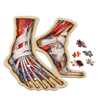 Dr. Livingston's Anatomy Jigsaw Puzzle: The Human Feet
