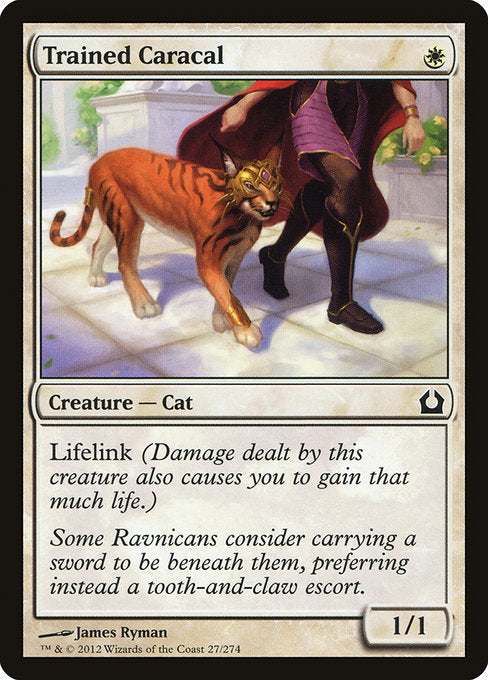 Trained Caracal [Return to Ravnica]