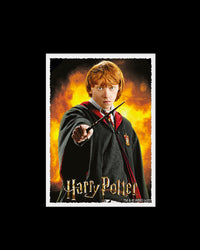 Sleeves - Dragon Shield - Box 100 - MATTE Art - WizardingWorld Ron Weasley