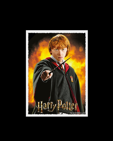 Sleeves - Dragon Shield - Box 100 - MATTE Art - WizardingWorld Ron Weasley