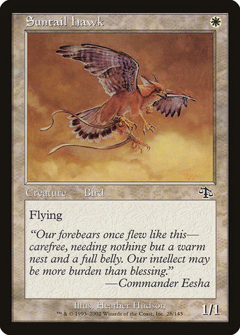 Suntail Hawk [Judgment]