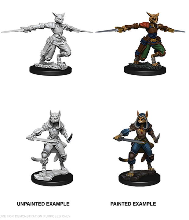 D&D Nolzurs Marvelous Miniatures Female Tabaxi Rogue