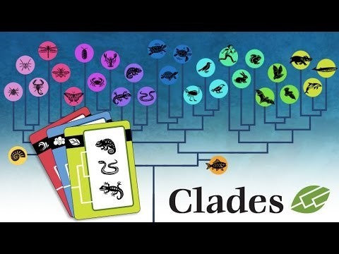 Clades board game