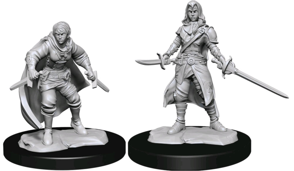 Dungeons & Dragons - Nolzur's Marvelous Unpainted Miniatures: Half-Elf Rogue Female