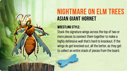 Kabuto Sumo - Insect All-Star Expansion