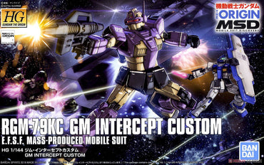 HG 1/144 GM Intercept Custom