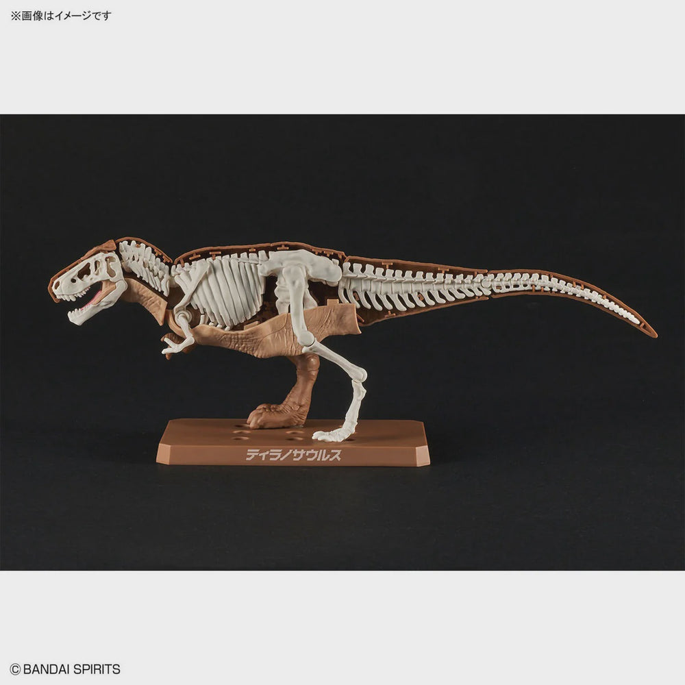 NEW DINOSAUR PLASTIC MODEL KIT BRAND TYRANNOSAURUS