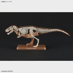 NEW DINOSAUR PLASTIC MODEL KIT BRAND TYRANNOSAURUS