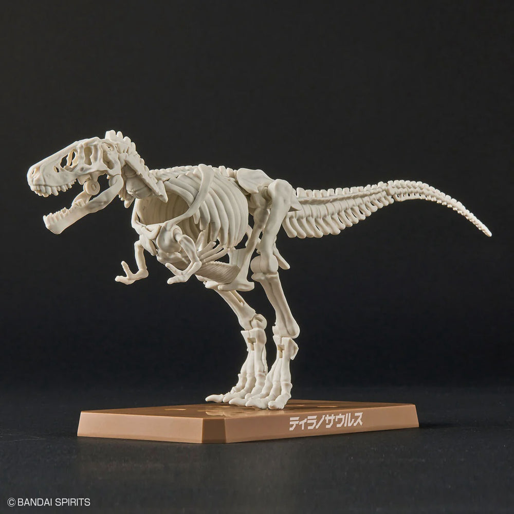 NEW DINOSAUR PLASTIC MODEL KIT BRAND TYRANNOSAURUS