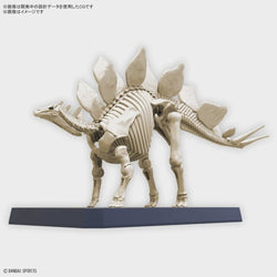 NEW DINOSAUR PLASTIC MODEL KIT BRAND STEGOSAURUS