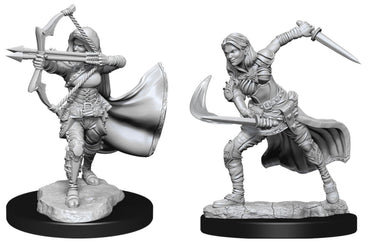 Dungeons & Dragons - Nolzur's Marvelous Unpainted Minis: Air Genasi Female