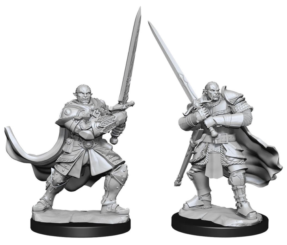 Dungeons & Dragons - Nolzur's Marvelous Unpainted Minis: Half-Orc Paladin Male