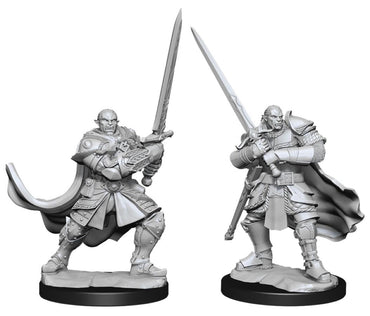 Dungeons & Dragons - Nolzur's Marvelous Unpainted Minis: Half-Orc Paladin Male