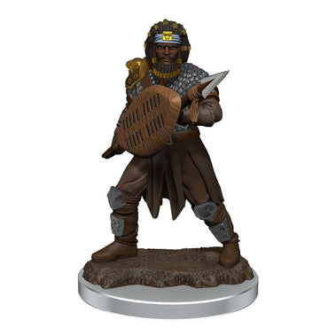 Dungeons & Dragons - Icons of the Realms Premium Male Human Fighter